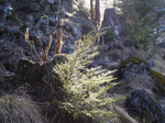 R0011910.JPG